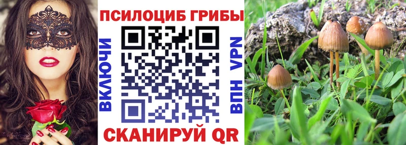 продажа наркотиков  Протвино  MEGA ссылки  Галлюциногенные грибы Psilocybe 