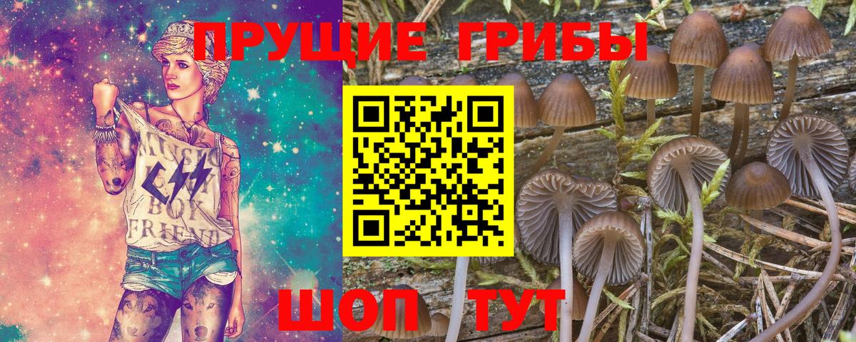 Протвино  Псилоцибиновые грибы прущие грибы  Вход с VPN 