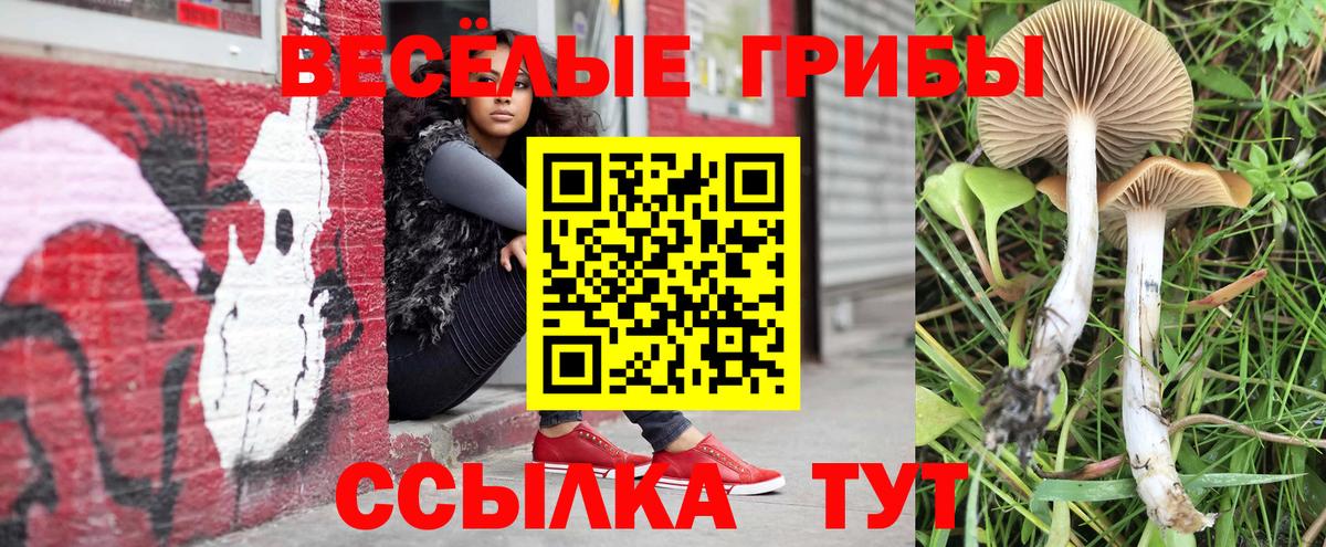 Галлюциногенные грибы мицелий Протвино